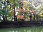 Fall Color Paddle