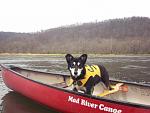 West Hickory to Tionesta (Allegheny River) 4-01-12