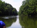 Conewango Creek 8-15-15