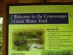 Conewango Creek 8-15-15