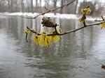 Mahoning River at Canoe City