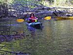 Fall Color Paddle