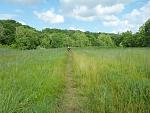 Cuyahoga River 6-24-18  Boston to Station Rd  -KenM